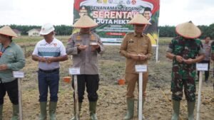 Langkat Ikut Berperan Dalam ‘Ketapang” Nasional Tanam 1 Juta Hektar Jagung