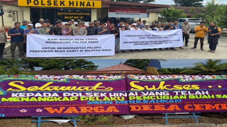 Komplotan Pencuri Sawit di Langkat Diringkus, Warga Apresiasi Kinerja Polsek Hinai”
