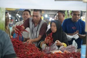 Harga Cabai Turun Jadi Rp35 Ribu/Kg, Inflasi di Sumut Terkendali