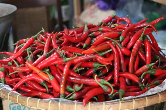 Diduga Ada Penimbunan, Polda Sumut Siapkan Tindakan Tegas untuk Tengkulak Cabai