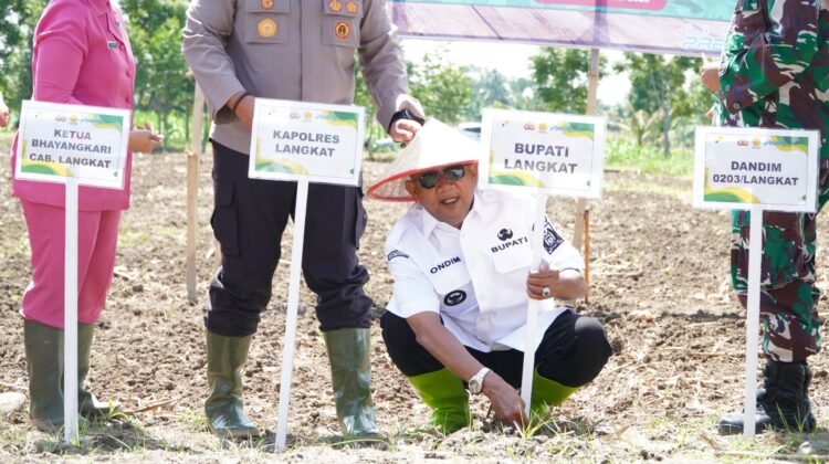 Syah Afandin Dukung Tanam Jagung Serentak Kuartal IV