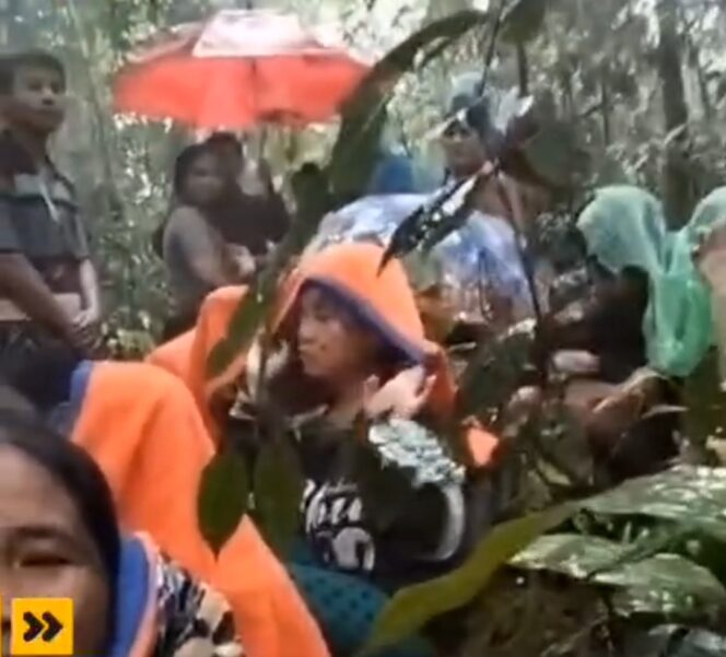 
					Puluhan Warga Tapanuli Terjebak Dihutan, Minta Bupati Evakuasi