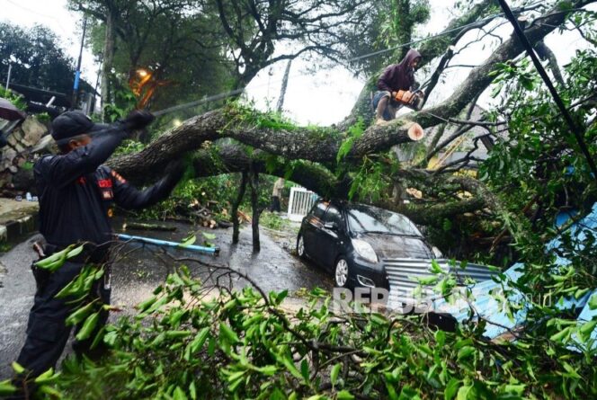 
					Pohon Tumbang Akibat Hujan Deras di Pondok Indah, Lalu Lintas Sempat Tersendat
