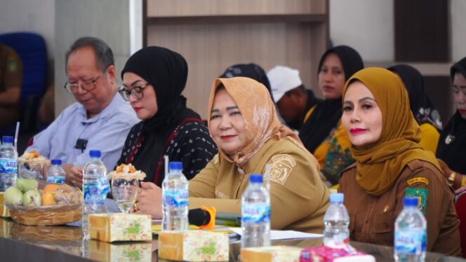 
					Wabup Langkat Buka Workshop Integrasi Data Program Sehati Bunda