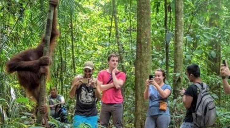 Libur Lebaran 2026, 360 Ribu Wisatawan Kunjungi Destinasi di Sumut