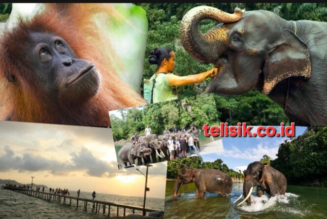 
					Wisata Langkat Terpuruk, Dugaan Kebocoran dan Salah Kelola Mencuat