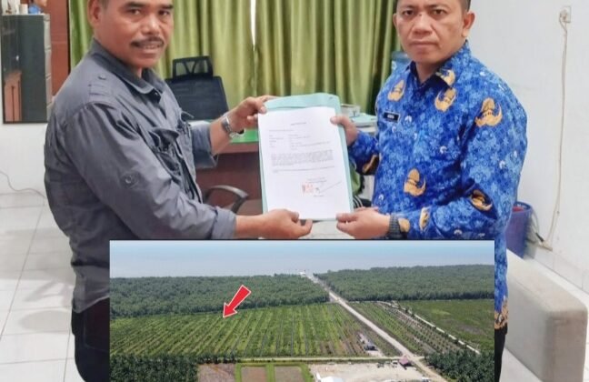 Bray.!!! Kepala KPH Wilayah I Stabat Apresiasi Oknum Kapolsek Perambah Hutan Lindung