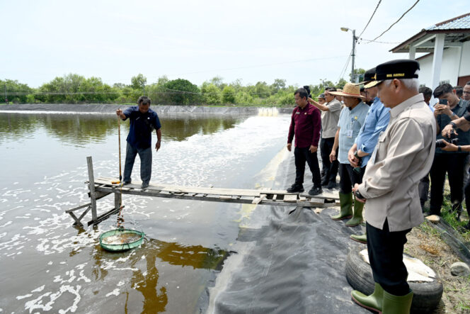 
					Wagub Sumut Surya Genjot PAD Perikanan dan Budidaya Udang