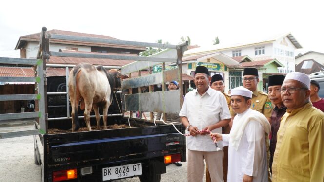 
					Bupati Syah Afandin dan Wabup Tiorita Salurkan Sapi Qurban untuk Warga Besilam
