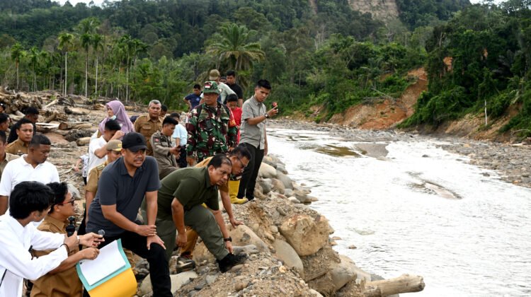 Gandeng APH, Pemprov Sumut Perkuat Penertiban Tambang Ilegal