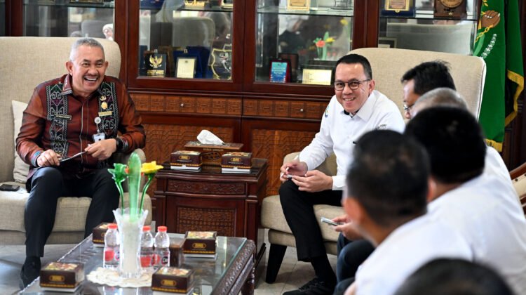 Pemprov Sumut-KKP Percepat Pemulihan Sektor Kelautan dan Perikanan Pascabanjir