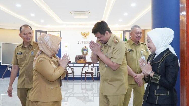 Mendagri Tunjuk Tiorita Surbakti sebagai Plt Bupati Langkat