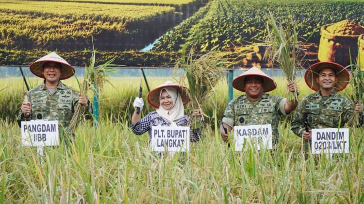 Tiorita Dampingi Pangdam I/BB Panen Raya TNI, Tegaskan Komitmen Langkat Dukung Swasembada Pangan
